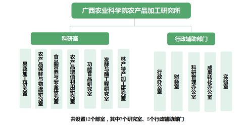 跨界融合 廣西農科院農產(chǎn)品加工研究所的醫(yī)學研究與試驗發(fā)展新路徑