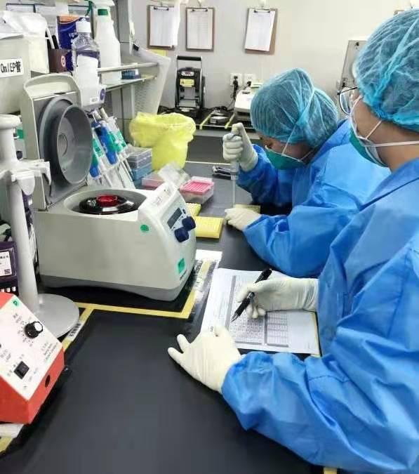 華大基因研發新冠病毒快速檢測試劑盒，3小時精準出結果